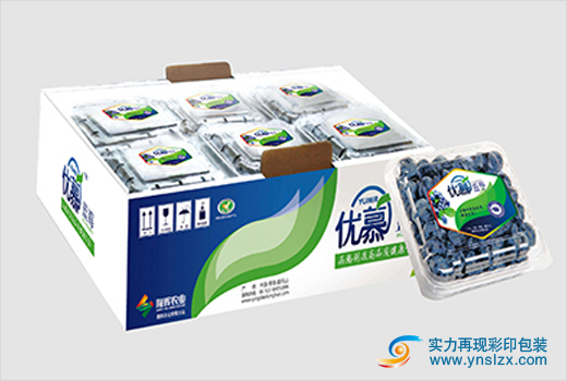 云南水果包裝廠